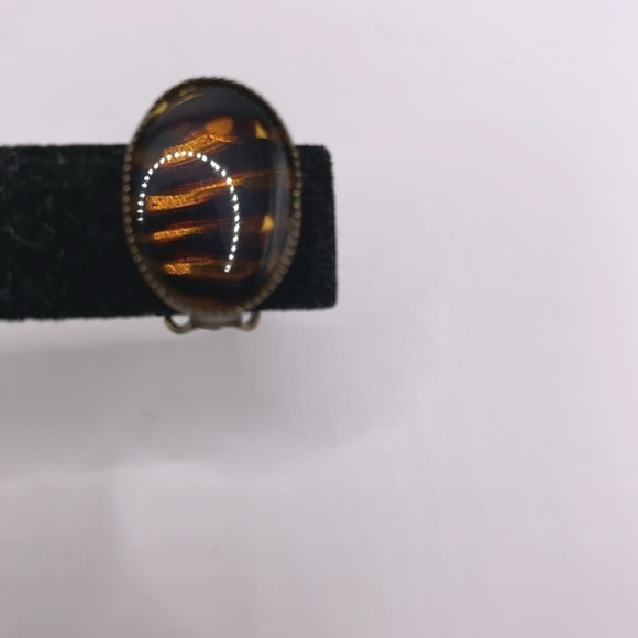 Vintage Lucite and Gold Tone Animal Stripe Clip-on Earrings - Picture 3 of 9